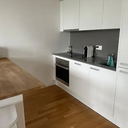 Spacieux Proche De Lausanne * Crissier